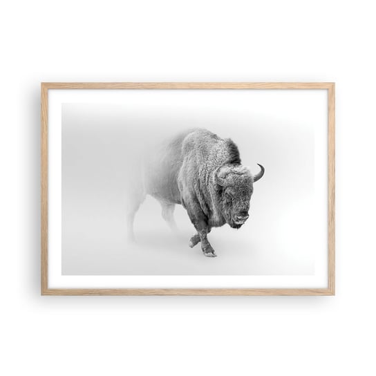 Obraz - Plakat - Król prerii - 70x50cm - Żubr Zwierzęta Bizon - Nowoczesny modny obraz Plakat rama jasny dąb ARTTOR ARTTOR