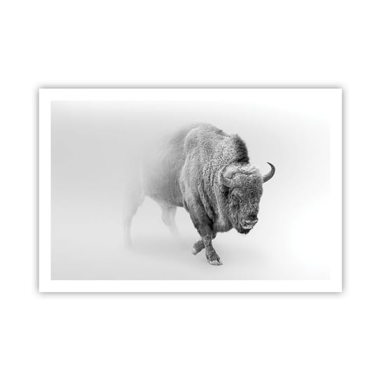 Obraz - Plakat - Król prerii - 91x61cm - Żubr Zwierzęta Bizon - Foto Plakaty na ścianę bez ramy - Plakat do Salonu Sypialni ARTTOR ARTTOR