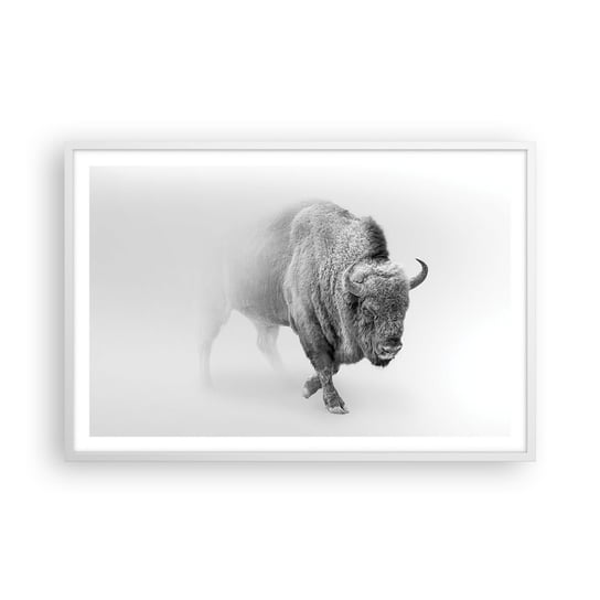 Obraz - Plakat - Król prerii - 91x61cm - Żubr Zwierzęta Bizon - Foto Plakaty na ścianę w ramie białej - Plakat do Salonu Sypialni ARTTOR ARTTOR