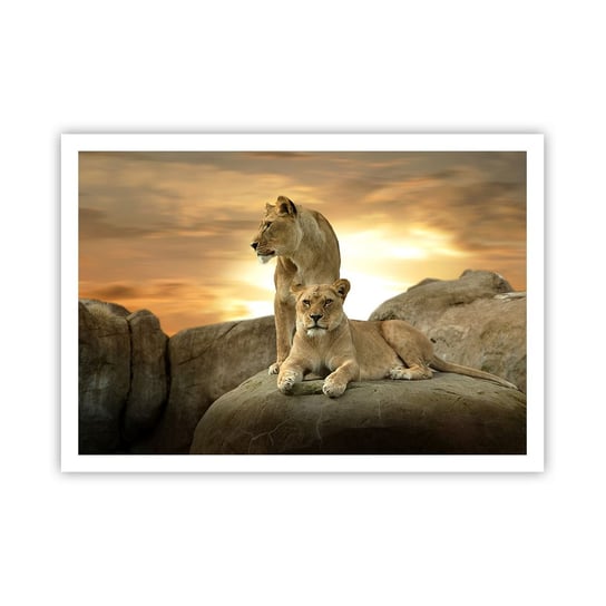 Obraz - Plakat - Królewski majestat - 100x70cm - Zwierzęta Lew Natura - Foto Plakaty bez ramy na ścianę do Salonu Sypialni ARTTOR ARTTOR