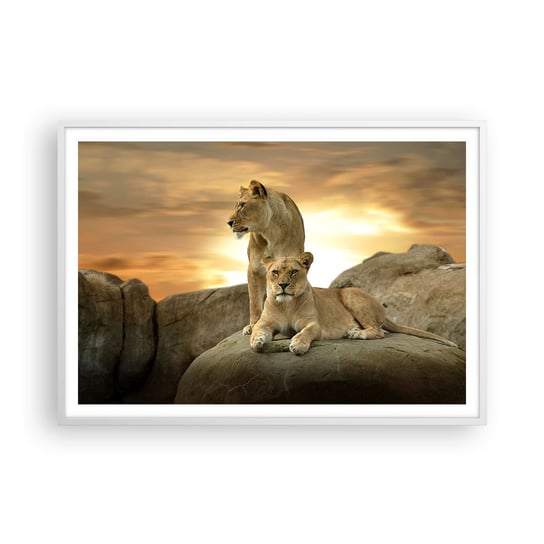 Obraz - Plakat - Królewski majestat - 100x70cm - Zwierzęta Lew Natura - Foto Plakaty w ramie koloru białego do Salonu Sypialni ARTTOR ARTTOR
