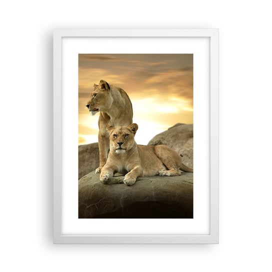 Obraz - Plakat - Królewski majestat - 30x40cm - Zwierzęta Lew Natura - Foto Plakaty na ścianę w ramie białej - Plakat do Salonu Sypialni ARTTOR ARTTOR
