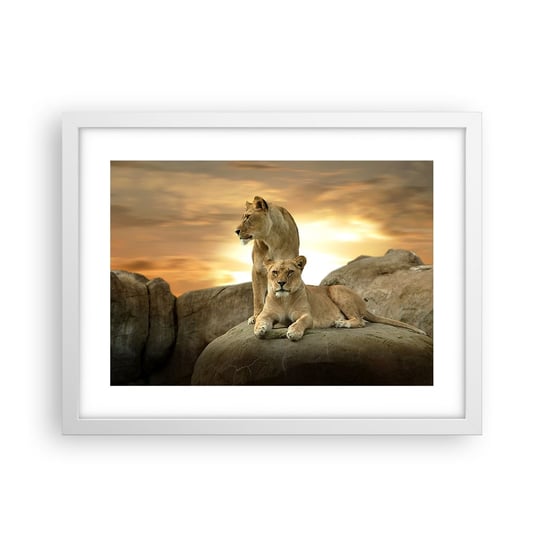 Obraz - Plakat - Królewski majestat - 40x30cm - Zwierzęta Lew Natura - Foto Plakaty na ścianę w ramie białej - Plakat do Salonu Sypialni ARTTOR ARTTOR