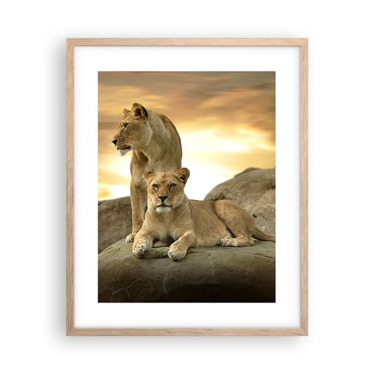 Obraz - Plakat - Królewski majestat - 40x50cm - Zwierzęta Lew Natura - Foto Plakaty w ramie koloru jasny dąb do Salonu Sypialni ARTTOR ARTTOR