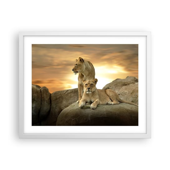 Obraz - Plakat - Królewski majestat - 50x40cm - Zwierzęta Lew Natura - Foto Plakaty w ramie koloru białego do Salonu Sypialni ARTTOR ARTTOR