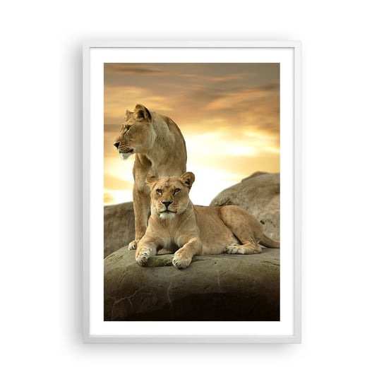 Obraz - Plakat - Królewski majestat - 50x70cm - Zwierzęta Lew Natura - Nowoczesny modny obraz Plakat rama biała ARTTOR ARTTOR
