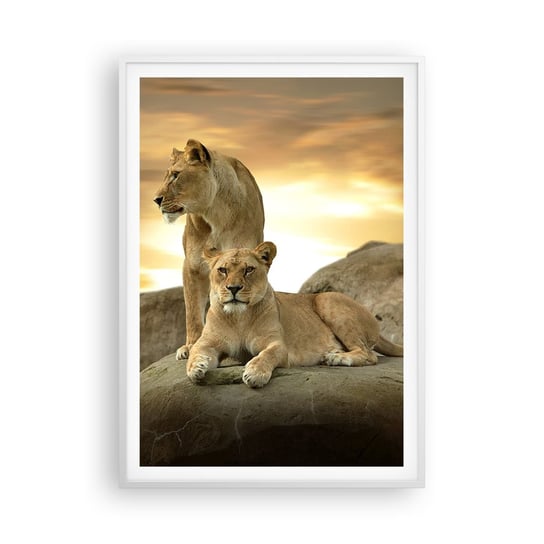 Obraz - Plakat - Królewski majestat - 70x100cm - Zwierzęta Lew Natura - Foto Plakaty w ramie koloru białego do Salonu Sypialni ARTTOR ARTTOR