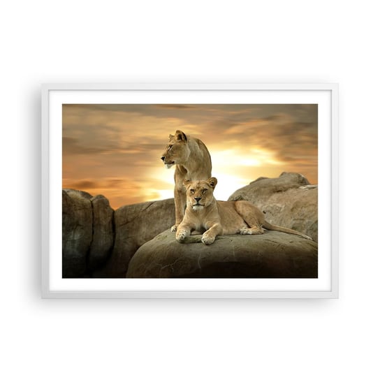Obraz - Plakat - Królewski majestat - 70x50cm - Zwierzęta Lew Natura - Nowoczesny modny obraz Plakat rama biała ARTTOR ARTTOR