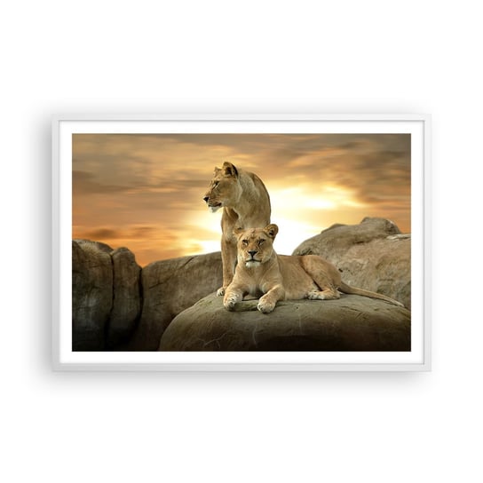 Obraz - Plakat - Królewski majestat - 91x61cm - Zwierzęta Lew Natura - Foto Plakaty na ścianę w ramie białej - Plakat do Salonu Sypialni ARTTOR ARTTOR