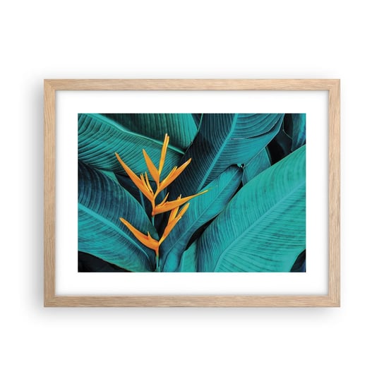 Obraz - Plakat - Kwiat Edenu - 40x30cm - Strelicja Królewska Kwiat Afryka - Foto Plakaty na ścianę w ramie jasny dąb - Plakat do Salonu Sypialni ARTTOR ARTTOR