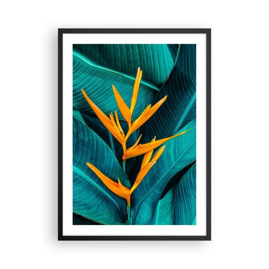 Obraz - Plakat - Kwiat Edenu - 50x70cm - Strelicja Królewska Kwiat Afryka - Nowoczesny modny obraz Plakat czarna rama ARTTOR ARTTOR