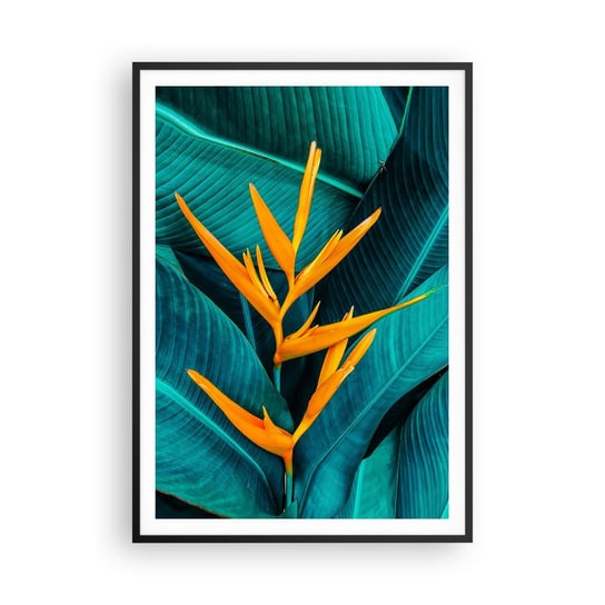 Obraz - Plakat - Kwiat Edenu - 70x100cm - Strelicja Królewska Kwiat Afryka - Foto Plakaty w ramie koloru czarnego do Salonu Sypialni ARTTOR ARTTOR