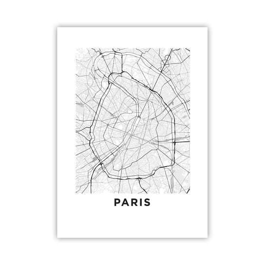 Obraz - Plakat - Kwiat Paryża - 50x70cm - Miasto Mapa Miasta Paryż - Nowoczesny modny obraz Plakat bez ramy do Salonu Sypialni ARTTOR ARTTOR