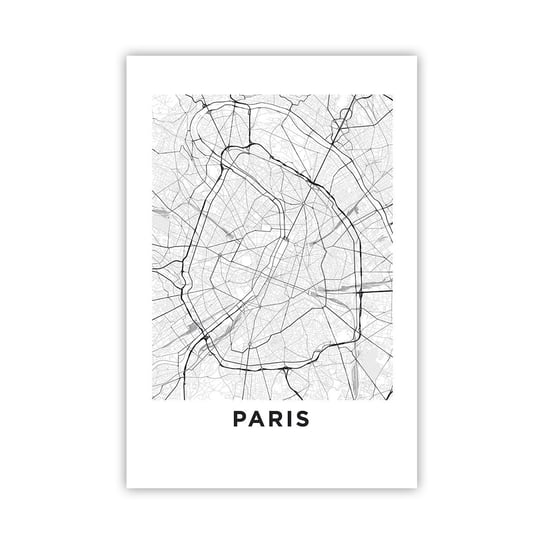 Obraz - Plakat - Kwiat Paryża - 61x91cm - Miasto Mapa Miasta Paryż - Foto Plakaty na ścianę bez ramy - Plakat do Salonu Sypialni ARTTOR ARTTOR