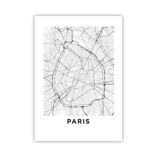 Obraz - Plakat - Kwiat Paryża - 70x100cm - Miasto Mapa Miasta Paryż - Foto Plakaty bez ramy na ścianę do Salonu Sypialni ARTTOR ARTTOR