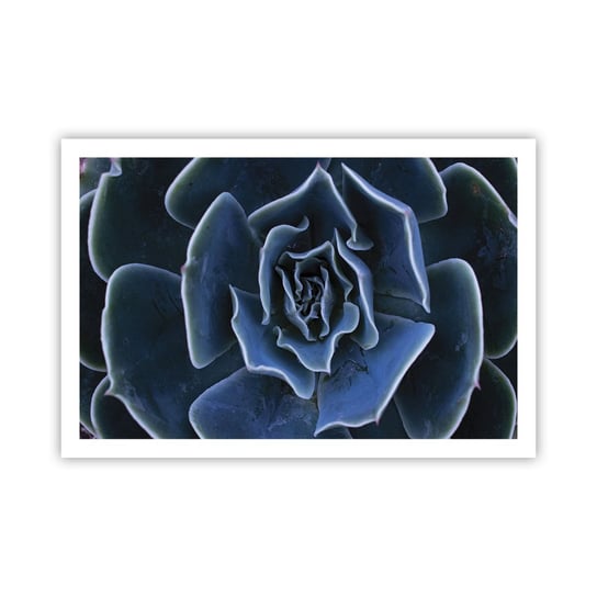 Obraz - Plakat - Kwiat pustyni - 91x61cm - Kwiat Agawy Kwiat Natura - Foto Plakaty na ścianę bez ramy - Plakat do Salonu Sypialni ARTTOR ARTTOR