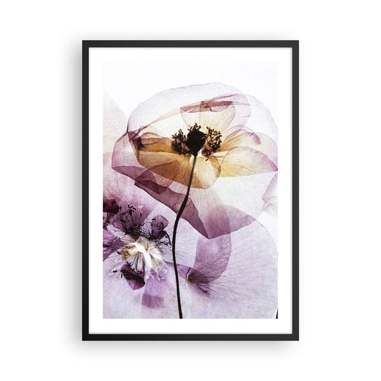 Obraz - Plakat - Kwiatów ciała przezrocze - 50x70cm - Kwiaty Ogród Sztuka - Nowoczesny modny obraz Plakat czarna rama ARTTOR ARTTOR