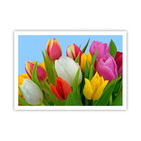 Obraz - Plakat - Kwiatowa tęcza w kroplach rosy - 100x70cm - Tulipany Kwiaty Bukiet Kwiatów - Foto Plakaty bez ramy na ścianę do Salonu Sypialni ARTTOR ARTTOR
