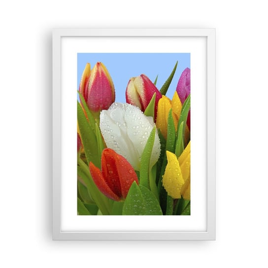 Obraz - Plakat - Kwiatowa tęcza w kroplach rosy - 30x40cm - Tulipany Kwiaty Bukiet Kwiatów - Foto Plakaty na ścianę w ramie białej - Plakat do Salonu Sypialni ARTTOR ARTTOR
