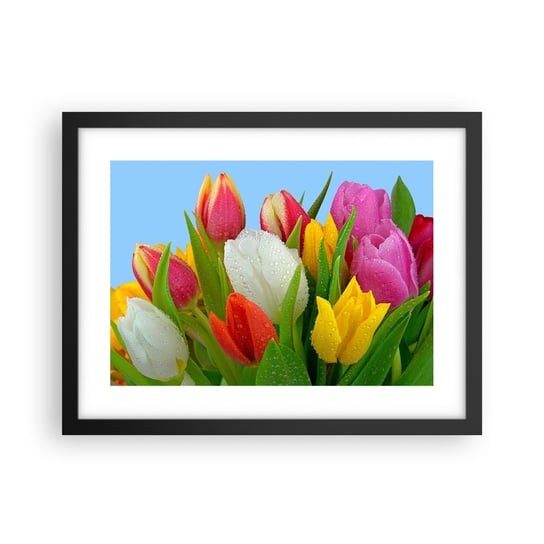 Obraz - Plakat - Kwiatowa tęcza w kroplach rosy - 40x30cm - Tulipany Kwiaty Bukiet Kwiatów - Foto Plakaty na ścianę w czarnej ramie - Plakat do Salonu Sypialni ARTTOR ARTTOR