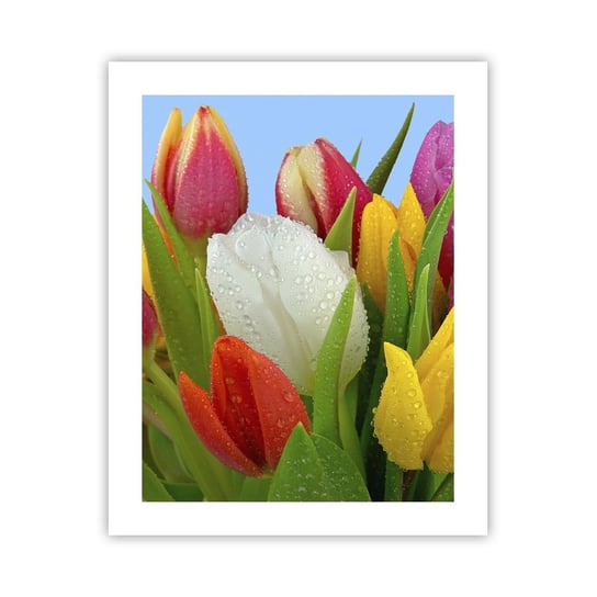 Obraz - Plakat - Kwiatowa tęcza w kroplach rosy - 40x50cm - Tulipany Kwiaty Bukiet Kwiatów - Foto Plakaty bez ramy do Salonu Sypialni ARTTOR ARTTOR