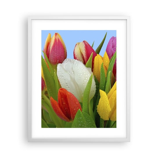 Obraz - Plakat - Kwiatowa tęcza w kroplach rosy - 40x50cm - Tulipany Kwiaty Bukiet Kwiatów - Foto Plakaty w ramie koloru białego do Salonu Sypialni ARTTOR ARTTOR