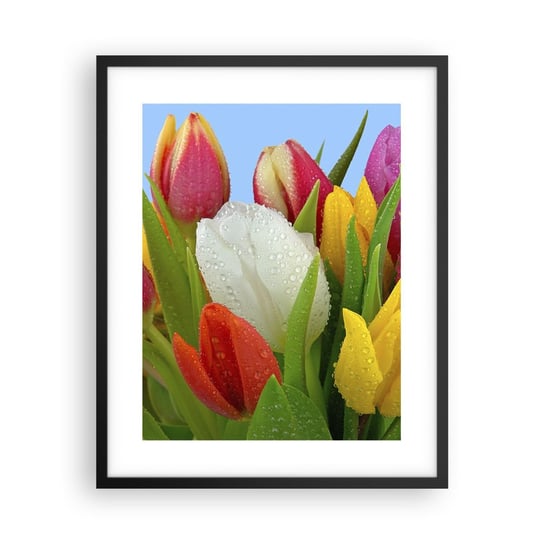 Obraz - Plakat - Kwiatowa tęcza w kroplach rosy - 40x50cm - Tulipany Kwiaty Bukiet Kwiatów - Foto Plakaty w ramie koloru czarnego do Salonu Sypialni ARTTOR ARTTOR