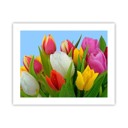 Obraz - Plakat - Kwiatowa tęcza w kroplach rosy - 50x40cm - Tulipany Kwiaty Bukiet Kwiatów - Foto Plakaty bez ramy do Salonu Sypialni ARTTOR ARTTOR