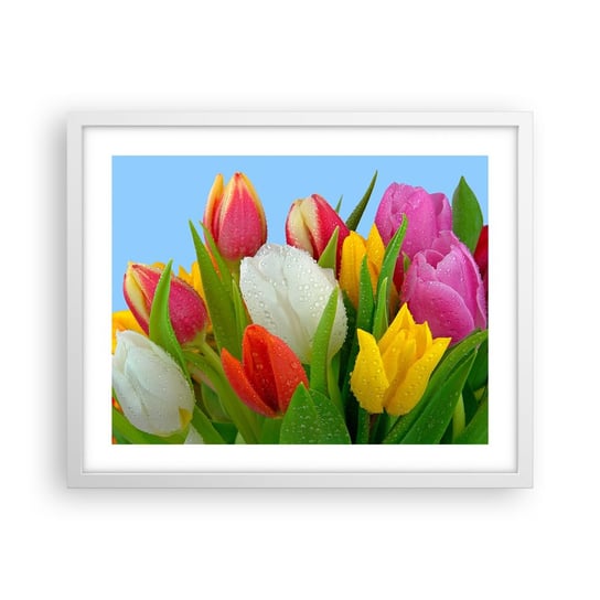 Obraz - Plakat - Kwiatowa tęcza w kroplach rosy - 50x40cm - Tulipany Kwiaty Bukiet Kwiatów - Foto Plakaty w ramie koloru białego do Salonu Sypialni ARTTOR ARTTOR
