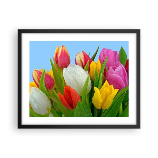 Obraz - Plakat - Kwiatowa tęcza w kroplach rosy - 50x40cm - Tulipany Kwiaty Bukiet Kwiatów - Foto Plakaty w ramie koloru czarnego do Salonu Sypialni ARTTOR ARTTOR