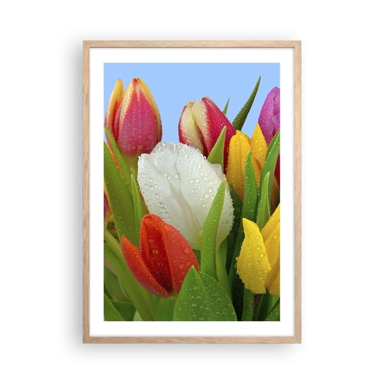 Obraz - Plakat - Kwiatowa tęcza w kroplach rosy - 50x70cm - Tulipany Kwiaty Bukiet Kwiatów - Nowoczesny modny obraz Plakat rama jasny dąb ARTTOR ARTTOR