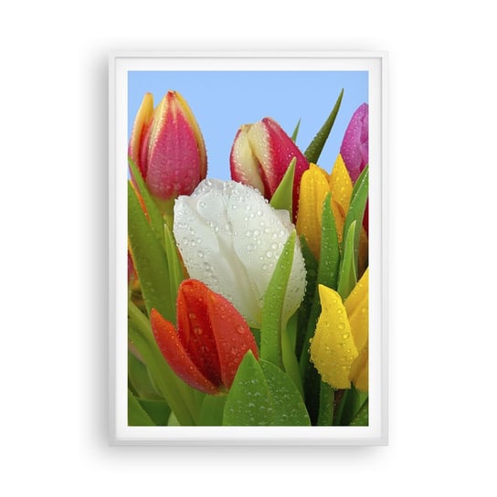 Obraz - Plakat - Kwiatowa tęcza w kroplach rosy - 70x100cm - Tulipany Kwiaty Bukiet Kwiatów - Foto Plakaty w ramie koloru białego do Salonu Sypialni ARTTOR ARTTOR