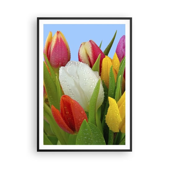 Obraz - Plakat - Kwiatowa tęcza w kroplach rosy - 70x100cm - Tulipany Kwiaty Bukiet Kwiatów - Foto Plakaty w ramie koloru czarnego do Salonu Sypialni ARTTOR ARTTOR