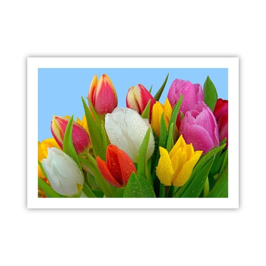Obraz - Plakat - Kwiatowa tęcza w kroplach rosy - 70x50cm - Tulipany Kwiaty Bukiet Kwiatów - Nowoczesny modny obraz Plakat bez ramy do Salonu Sypialni ARTTOR ARTTOR