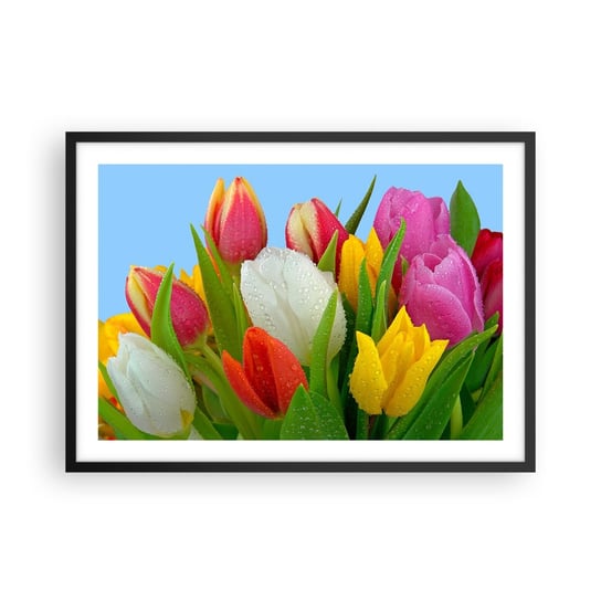 Obraz - Plakat - Kwiatowa tęcza w kroplach rosy - 70x50cm - Tulipany Kwiaty Bukiet Kwiatów - Nowoczesny modny obraz Plakat czarna rama ARTTOR ARTTOR