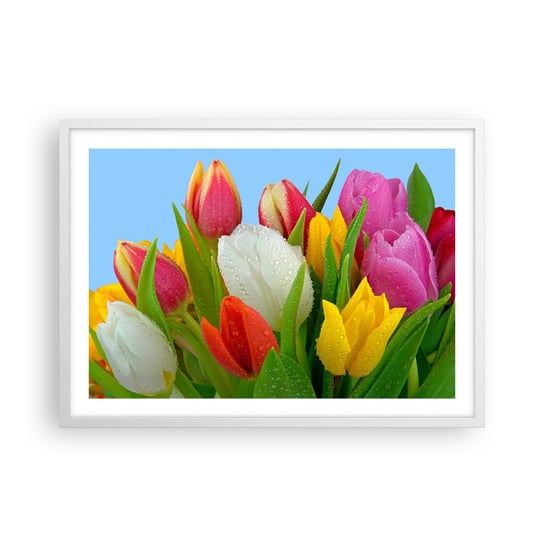 Obraz - Plakat - Kwiatowa tęcza w kroplach rosy - 70x50cm - Tulipany Kwiaty Bukiet Kwiatów - Nowoczesny modny obraz Plakat rama biała ARTTOR ARTTOR