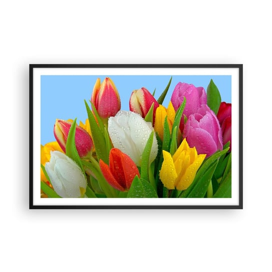 Obraz - Plakat - Kwiatowa tęcza w kroplach rosy - 91x61cm - Tulipany Kwiaty Bukiet Kwiatów - Foto Plakaty na ścianę w czarnej ramie - Plakat do Salonu Sypialni ARTTOR ARTTOR