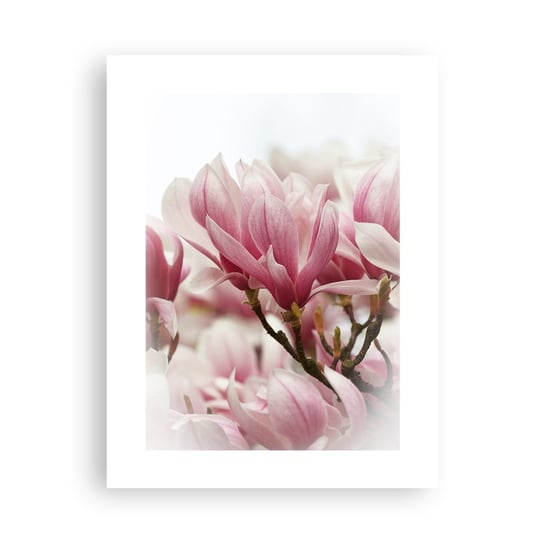 Obraz - Plakat - Kwiaty wiosny - 30x40cm - Magnolia Kwiat Delikatny - Foto Plakaty na ścianę bez ramy - Plakat do Salonu Sypialni ARTTOR ARTTOR