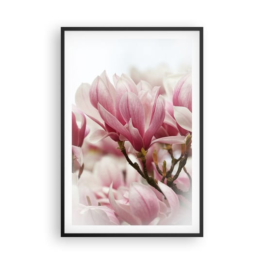 Obraz - Plakat - Kwiaty wiosny - 61x91cm - Magnolia Kwiat Delikatny - Foto Plakaty na ścianę w czarnej ramie - Plakat do Salonu Sypialni ARTTOR ARTTOR