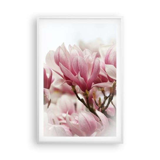 Obraz - Plakat - Kwiaty wiosny - 61x91cm - Magnolia Kwiat Delikatny - Foto Plakaty na ścianę w ramie białej - Plakat do Salonu Sypialni ARTTOR ARTTOR