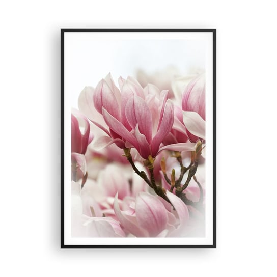Obraz - Plakat - Kwiaty wiosny - 70x100cm - Magnolia Kwiat Delikatny - Foto Plakaty w ramie koloru czarnego do Salonu Sypialni ARTTOR ARTTOR