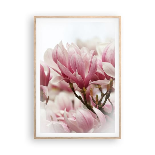Obraz - Plakat - Kwiaty wiosny - 70x100cm - Magnolia Kwiat Delikatny - Foto Plakaty w ramie koloru jasny dąb do Salonu Sypialni ARTTOR ARTTOR