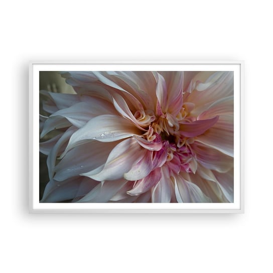 Obraz - Plakat - Kwitnąca świeżość - 100x70cm - Kwiat Dalia Roślina - Foto Plakaty w ramie koloru białego do Salonu Sypialni ARTTOR ARTTOR