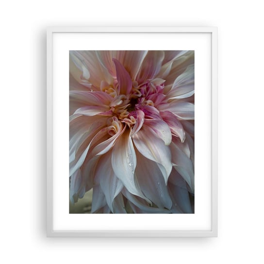 Obraz - Plakat - Kwitnąca świeżość - 40x50cm - Kwiat Dalia Roślina - Foto Plakaty w ramie koloru białego do Salonu Sypialni ARTTOR ARTTOR