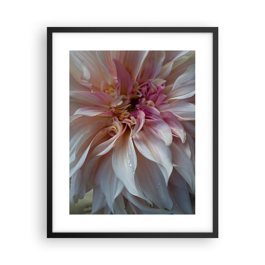 Obraz - Plakat - Kwitnąca świeżość - 40x50cm - Kwiat Dalia Roślina - Foto Plakaty w ramie koloru czarnego do Salonu Sypialni ARTTOR ARTTOR