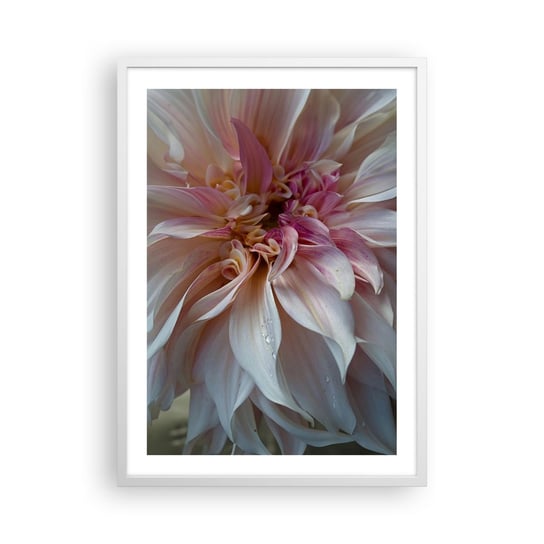 Obraz - Plakat - Kwitnąca świeżość - 50x70cm - Kwiat Dalia Roślina - Nowoczesny modny obraz Plakat rama biała ARTTOR ARTTOR
