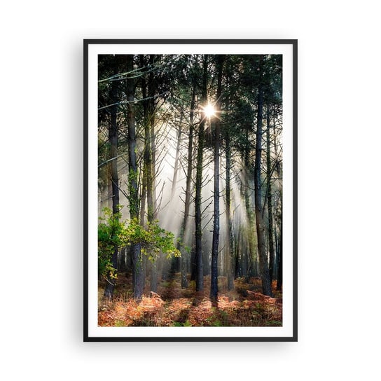 Obraz - Plakat - Leśne uroczysko - 70x100cm - Las Natura Słońce - Foto Plakaty w ramie koloru czarnego do Salonu Sypialni ARTTOR ARTTOR