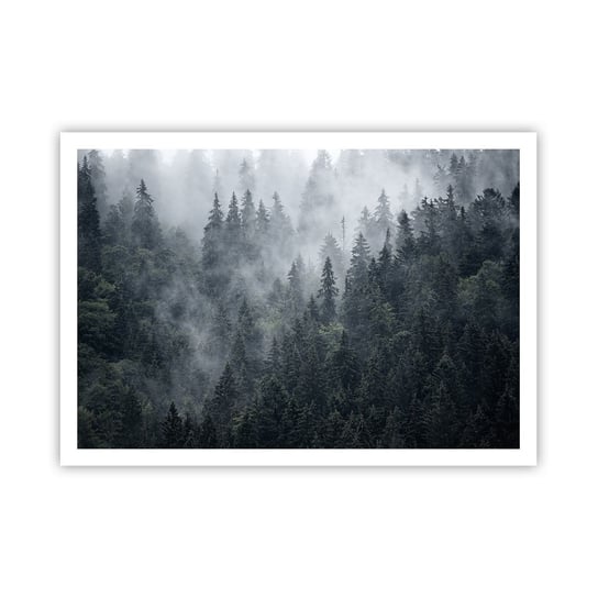 Obraz - Plakat - Leśny świt - 100x70cm - Krajobraz Las Natura - Foto Plakaty bez ramy na ścianę do Salonu Sypialni ARTTOR ARTTOR