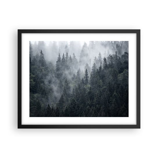 Obraz - Plakat - Leśny świt - 50x40cm - Krajobraz Las Natura - Foto Plakaty w ramie koloru czarnego do Salonu Sypialni ARTTOR ARTTOR