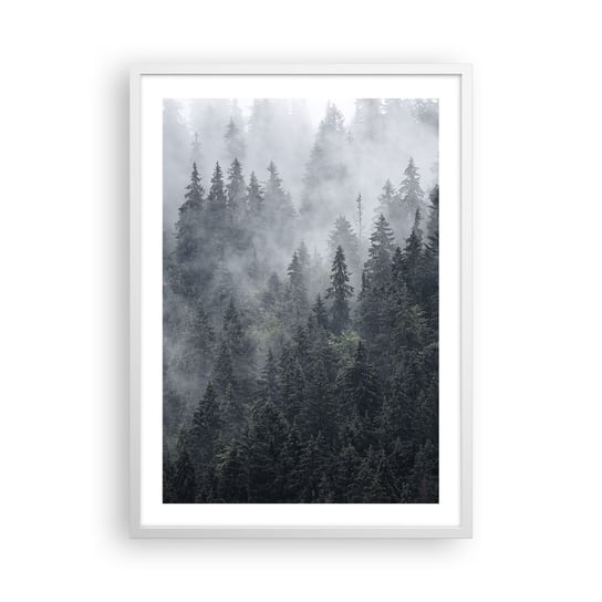Obraz - Plakat - Leśny świt - 50x70cm - Krajobraz Las Natura - Nowoczesny modny obraz Plakat rama biała ARTTOR ARTTOR